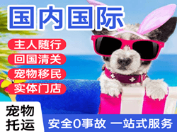惠州机场快递国际宠物托运 【国
